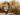 2 Male lions rubbing heads