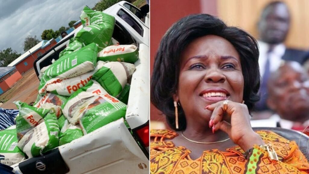 Cecilia Abena Dapaah