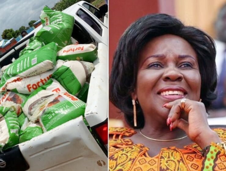Cecilia Abena Dapaah